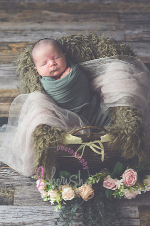 Arden [proofs]  045