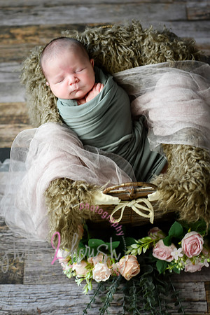 Arden [proofs]  047