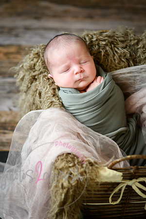 Arden [proofs]  048