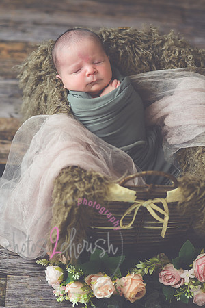 Arden [proofs]  049