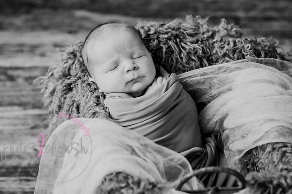 Arden [proofs]  054