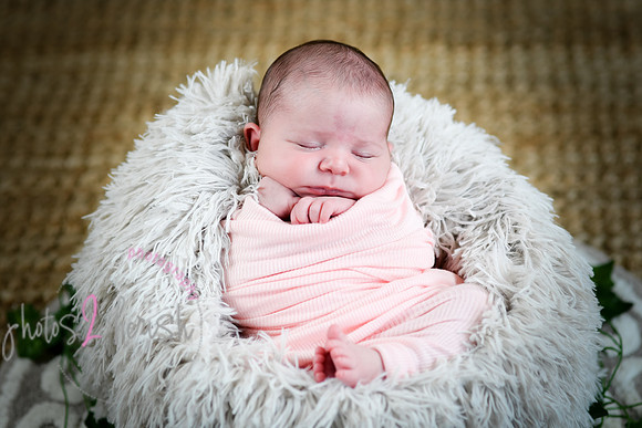 Arden [proofs]  065