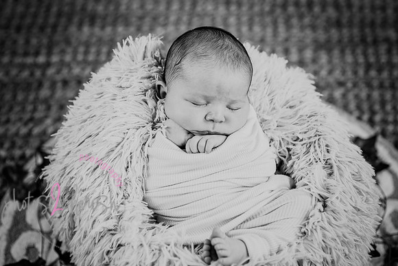 Arden [proofs]  072