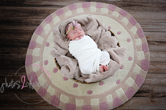 Arden [proofs]  080