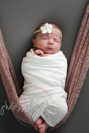 Arden [proofs]  089