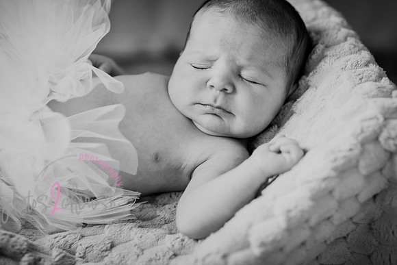 Arden [proofs]  096