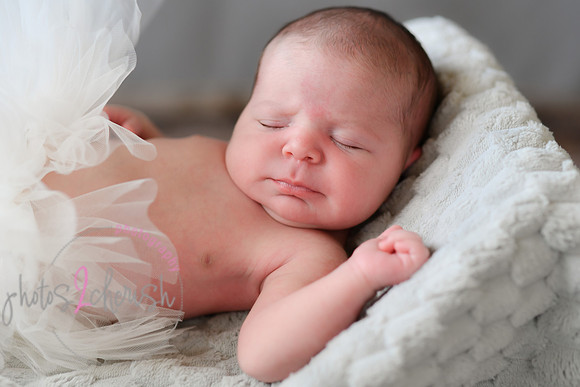 Arden [proofs]  097