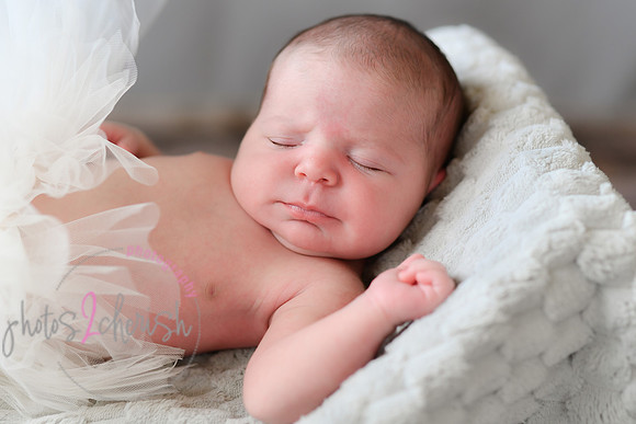 Arden [proofs]  098
