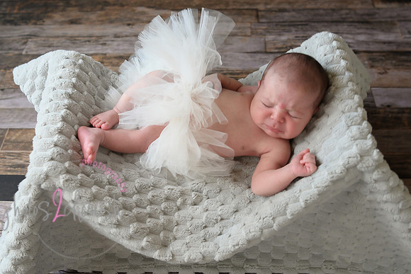 Arden [proofs]  099