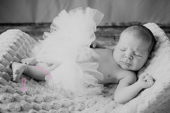Arden [proofs]  103