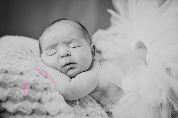 Arden [proofs]  118