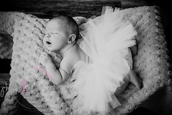 Arden [proofs]  132