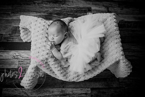 Arden [proofs]  164