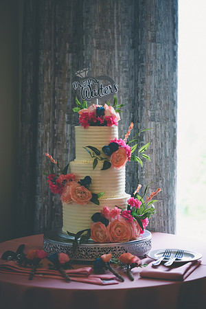 Elizabeth & Kyle WD [proofs] 0030