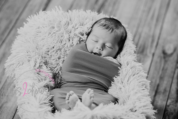 Anthony [newborn] 055