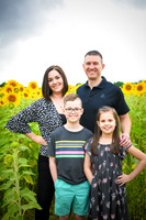2023 sunflowers 04 peek