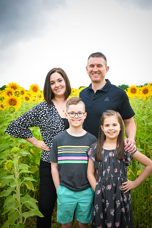 2023 sunflowers 04 peek