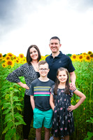 2023 sunflowers 05 peek