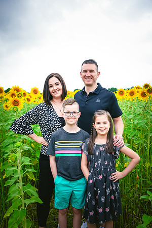 2023 sunflowers 05 peek