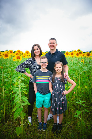 2023 sunflowers 02 peek