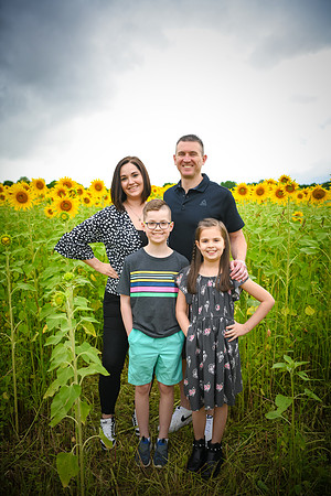 2023 sunflowers 01 peek