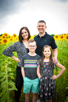 2023 sunflowers 06 peek