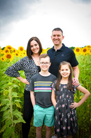 2023 sunflowers 07 peek