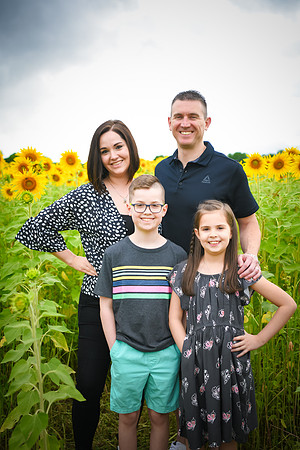 2023 sunflowers 07 peek