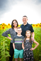 2023 sunflowers 08 peek