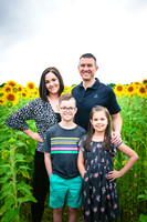 2023 sunflowers 09 peek