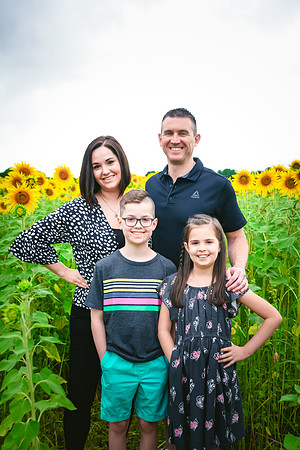 2023 sunflowers 09 peek