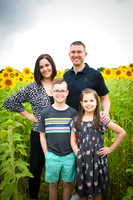 2023 sunflowers 10 peek
