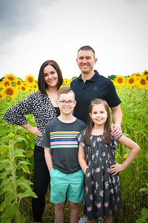 2023 sunflowers 10 peek