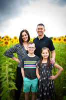 2023 sunflowers 11 peek