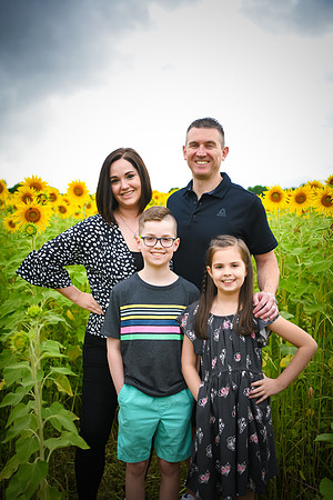 2023 sunflowers 11 peek