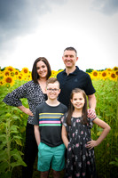 2023 sunflowers 12 peek