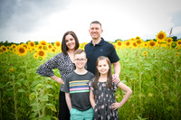 2023 sunflowers 13 peek