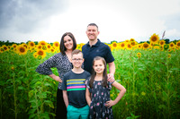2023 sunflowers 14 peek