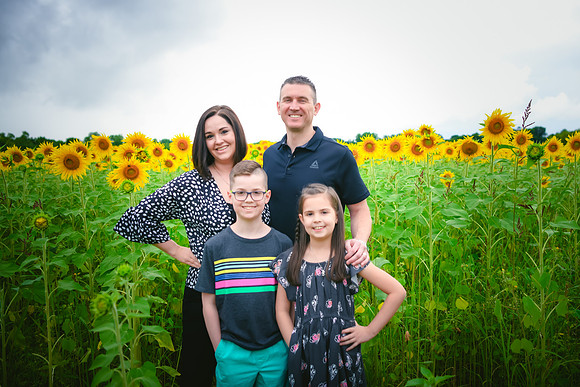 2023 sunflowers 14 peek