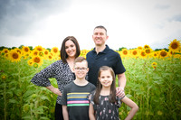 2023 sunflowers 15 peek