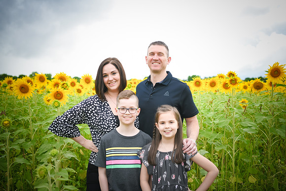 2023 sunflowers 15 peek