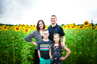 2023 sunflowers 17 peek