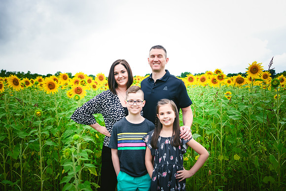 2023 sunflowers 17 peek