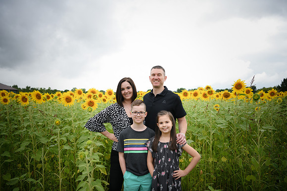 2023 sunflowers 16 peek