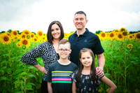 2023 sunflowers 20 peek
