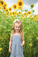 2023 sunflowers [schubert] 005