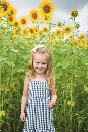 2023 sunflowers [schubert] 005
