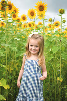2023 sunflowers [schubert] 002