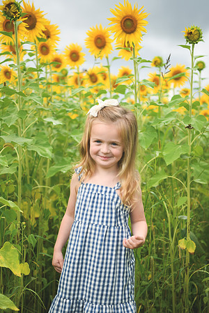 2023 sunflowers [schubert] 002