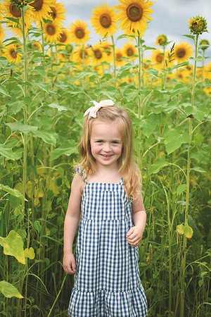 2023 sunflowers [schubert] 003